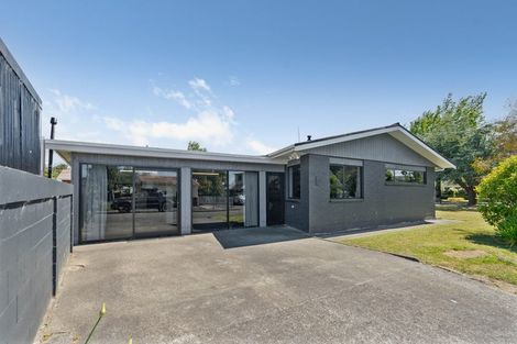 Photo of property in 9 Plunket Street, Solway, Masterton, 5810