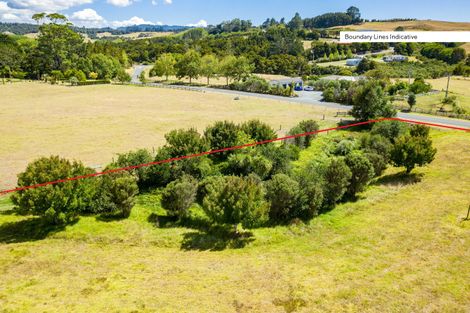 Photo of property in 14 Daniel Parade, Mangawhai, Wellsford, 0975