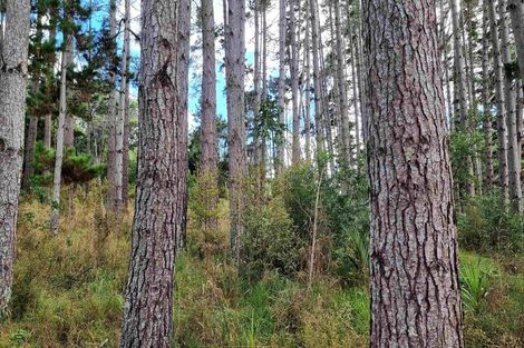 Photo of property in 294 Foster Road, Waimauku, Kumeu, 0891