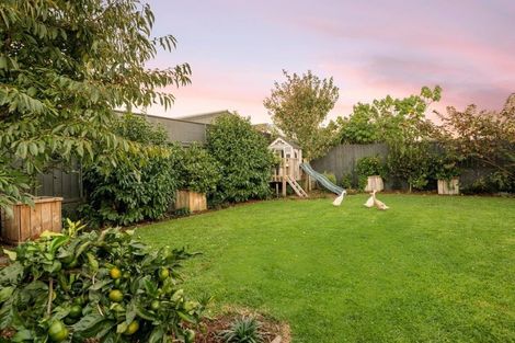 Photo of property in 5 Harris Street, Mount Maunganui, 3116