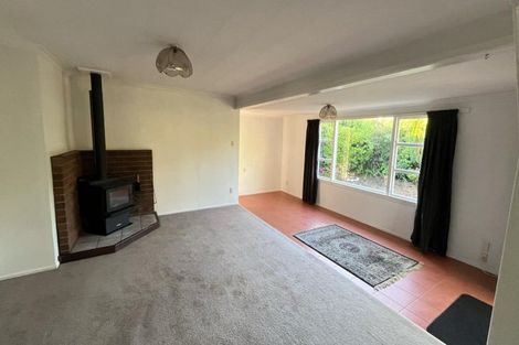 Photo of property in 19 Scott Street, Tuatapere, 9620