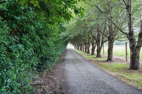 Photo of property in 644 Ryal Bush Wallacetown Road, Wallacetown, Invercargill, 9874