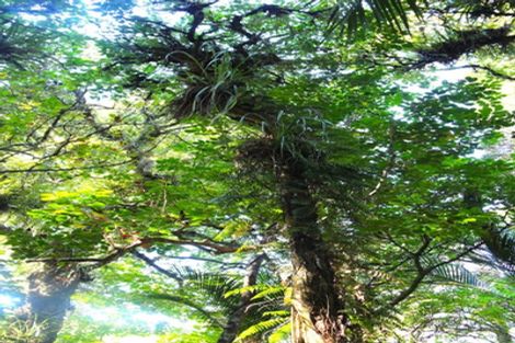 Photo of property in 1052 Wekaweka Road, Waimamaku, Kaikohe, 0473