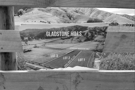 Photo of property in 161 Gladstone Road, Levin, 5571