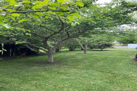 Photo of property in 6 Morunga Street, Omori, Turangi, 3381