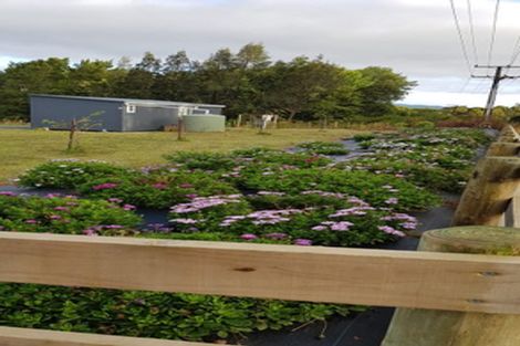 Photo of property in 757 Settlement Road, Hakaru, Wellsford, 0975