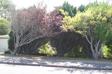 Photo of property in 79 Sunrise Avenue, Murrays Bay, Auckland, 0630