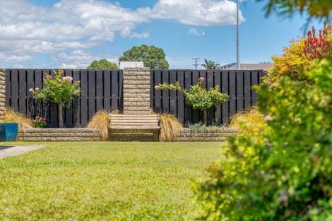 Photo of property in 111a Chapel Street, Otumoetai, Tauranga, 3110