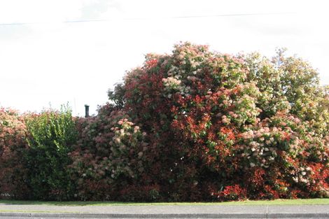 Photo of property in 14 Robinson Avenue, Holdens Bay, Rotorua, 3010