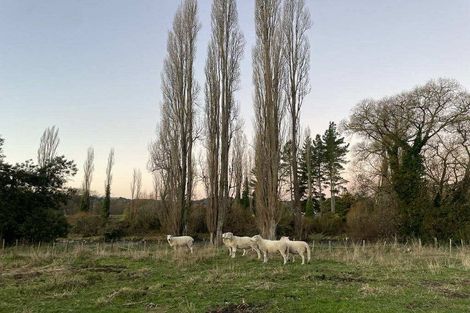 Photo of property in 316 Miro Street, Manunui, Taumarunui, 3924