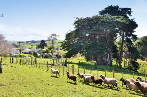 Photo of property in 201 Wayby Station Road, Wellsford, 0972