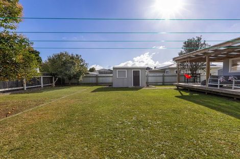 Photo of property in 8 Middlesex Street, Levin, 5510