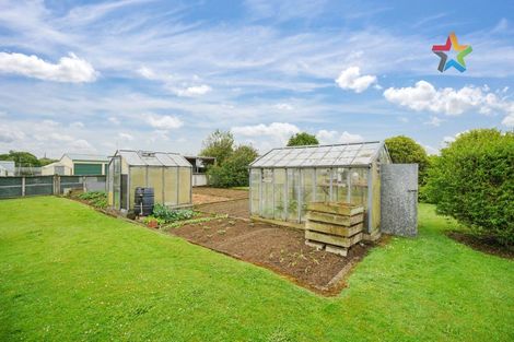 Photo of property in 49 Mauchline Street, Wallacetown, 9816