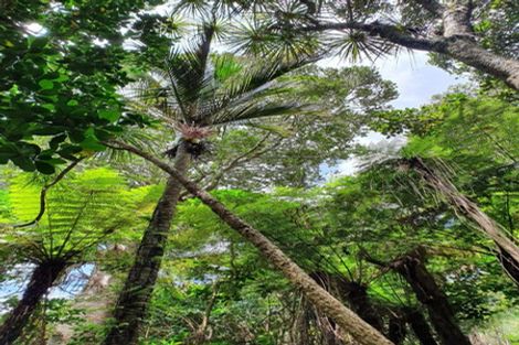 Photo of property in 204 Oyster Point Road, Kaukapakapa, Warkworth, 0984