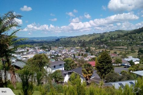 Photo of property in 36 House Avenue, Taumarunui, 3920