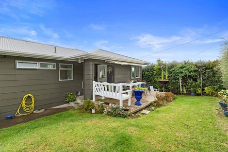 Photo of property in 17 Puriri Street, Te Aroha, 3320