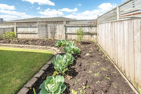 Photo of property in 6 Kelsi Street, Tawhero, Whanganui, 4501