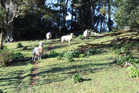 Photo of property in 1074 Oparure Road, Te Kuiti, 3985