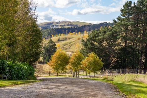 Photo of property in 91 Falloon Settlement Road, Kaituna, Masterton, 5888