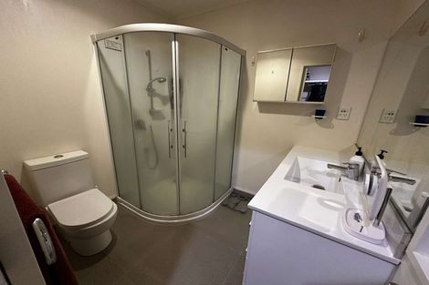 Photo of property in Fernhill Flats, 1/324 The Terrace, Te Aro, Wellington, 6011