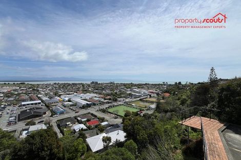 Photo of property in 24 Chamberlain Street, Tahunanui, Nelson, 7011