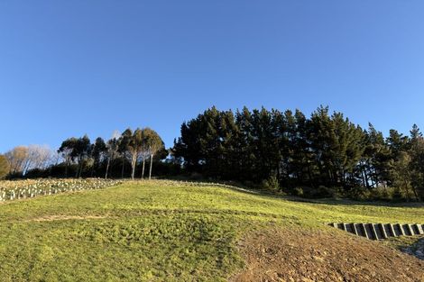 Photo of property in 24 Skylark Rise, Todds Valley, Nelson, 7071