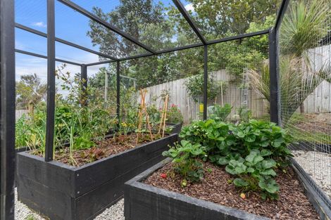 Photo of property in 3 Claude Street, Mangawhai Heads, Mangawhai, 0505