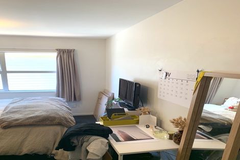 Photo of property in 3a Anderson Terrace, Mount Cook, Wellington, 6021