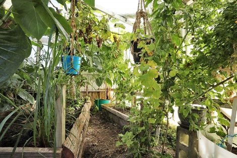 Photo of property in 17 Half Mile Road, Tuatapere, 9620