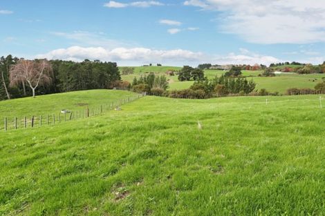 Photo of property in 45 Brewster Road, Pukekawa, Tuakau, 2696