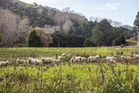 Photo of property in 427 Tinui Valley Road, Tinui Valley, Tinui, 5894