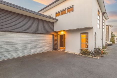 Photo of property in 25b Champion Street, Edgeware, Christchurch, 8013