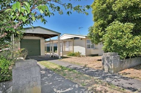Photo of property in 405a Burnett Street, Mahora, Hastings, 4120