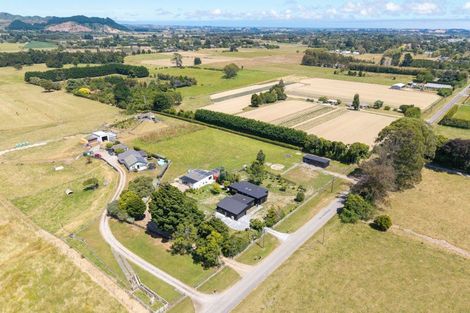 Photo of property in 324 Kimberley Road, Levin, 5571