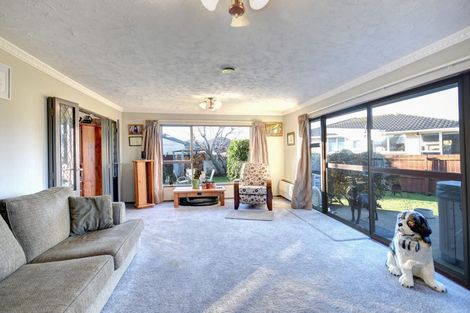 Photo of property in 17 Wickliffe Street, Mosgiel, 9024