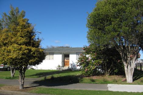 Photo of property in 14 Bledisloe Street, Levin, 5510