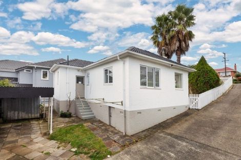 Photo of property in 51 Rogan Street, Mount Roskill, Auckland, 1041