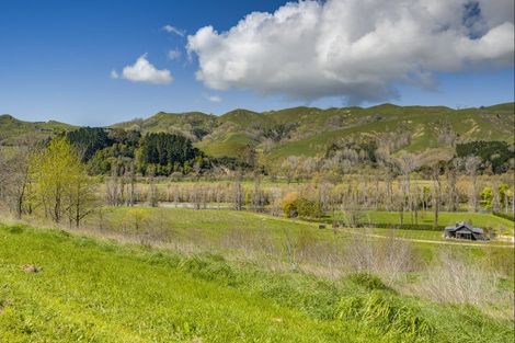 Photo of property in 155 Matangi Road, Tuki Tuki, Havelock North, 4294