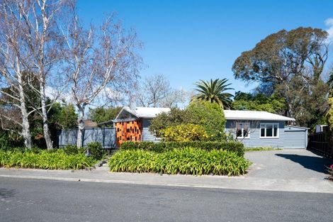 Photo of property in 13 Christie Crescent, Havelock North, 4130