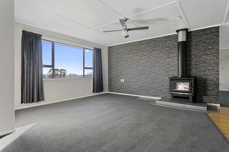 Photo of property in 163 Starkey Road, Morrinsville, 3371