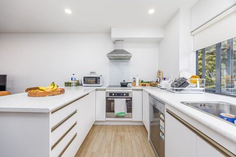 Photo of property in 31 Sudbury Terrace, Parnell, Auckland, 1010