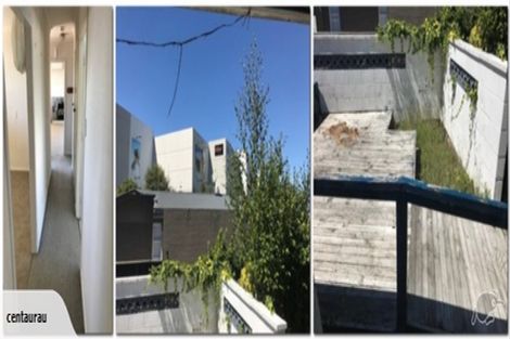 Photo of property in 56 Wake Street, Chartwell, Hamilton, 3210