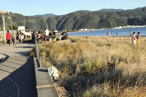 Photo of property in 3 Jessie Street, Petone, Lower Hutt, 5012