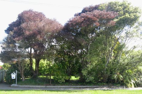 Photo of property in 21 Westerleigh Street, Bishopdale, Christchurch, 8053