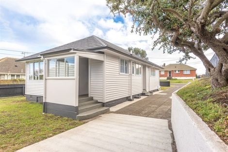 Photo of property in 47 Puriri Street, Gonville, Whanganui, 4501