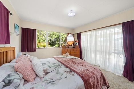 Photo of property in 13 Attlee Place, Feilding, 4702