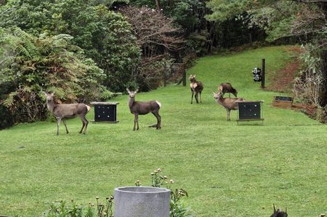 Photo of property in 1470 Akatarawa Road, Akatarawa Valley, Upper Hutt, 5372