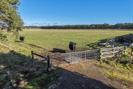 Photo of property in 77 Leslies Road, Cust, 7471
