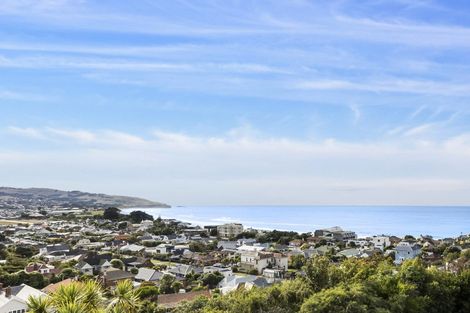 Photo of property in 46a Norfolk Street, Saint Clair, Dunedin, 9012