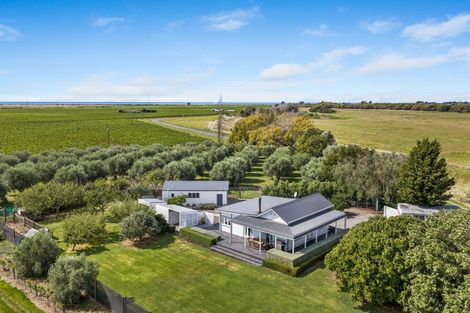Photo of property in 447 Wairau Bar Road, Spring Creek, Blenheim, 7273
